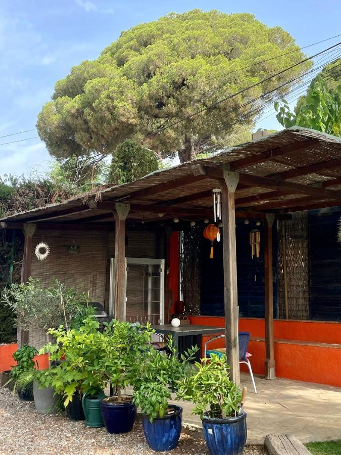 Palm Maresme - Suite With Bathroom And Terrasse With Ocean Views In A Private Villa Vilassar De Dalt Экстерьер фото